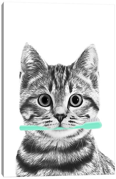Cat With Toothbrush Aqua Color Canvas Art Print - Black, White & Blue Art