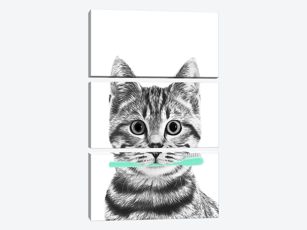 Cat With Toothbrush Aqua Color by Printable Lisa's Pets 3-piece Canvas Wall Art