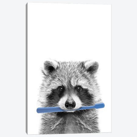 Raccoon With Blue Toothbrush Canvas Print #LIP728} by Printable Lisa's Pets Canvas Art Print