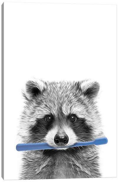 Raccoon With Blue Toothbrush Canvas Art Print - Raccoon Art