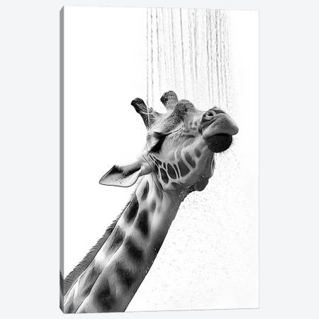 Cute Giraffe Taking A Shower, Black And White Canvas Print #LIP734} by Printable Lisa's Pets Art Print