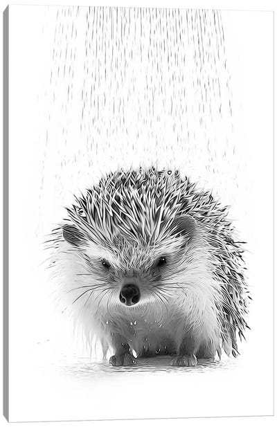 Cute Hedgehog Taking A Shower, Black And White Canvas Art Print - Hedgehogs