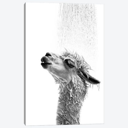 Cute Llama Taking A Shower, Black And White Canvas Print #LIP740} by Printable Lisa's Pets Art Print