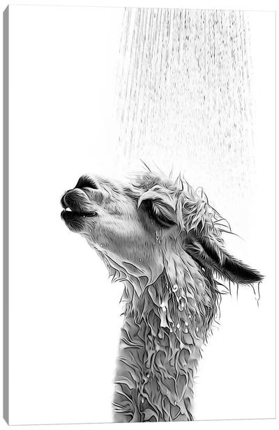 Cute Llama Taking A Shower, Black And White Canvas Art Print