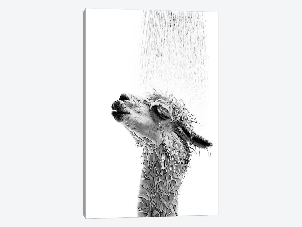 Cute Llama Taking A Shower, Black And White by Printable Lisa's Pets 1-piece Canvas Art