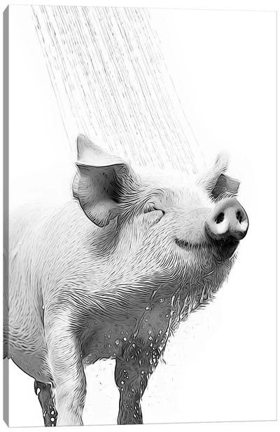 Cute Pig Taking A Shower, Black And White Canvas Art Print