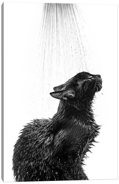 Cute Black Cat Taking A Shower, Black And White Canvas Art Print - Printable Lisa's Pets
