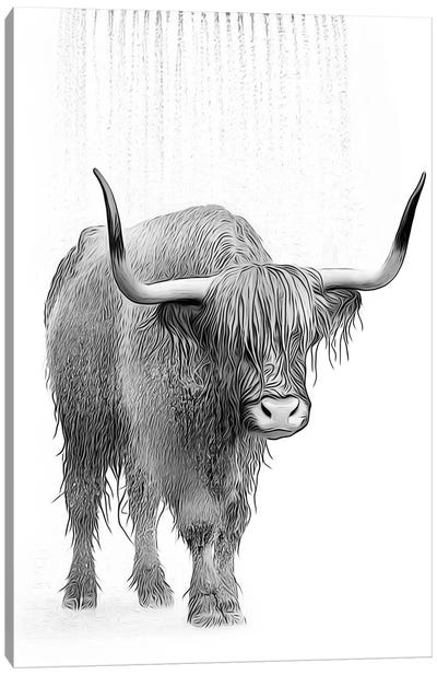 Cute Highland Cow Taking A Shower, Black And White Canvas Art Print - Printable Lisa's Pets