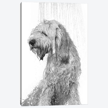 Cute Labradoodle Dog Taking A Shower, Black And White Canvas Print #LIP759} by Printable Lisa's Pets Canvas Wall Art