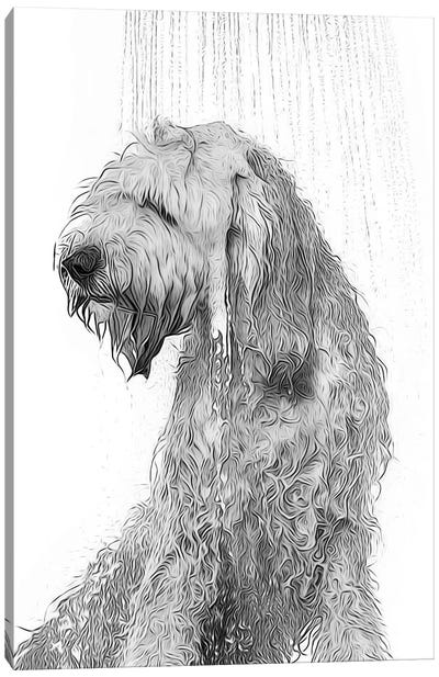 Cute Labradoodle Dog Taking A Shower, Black And White Canvas Art Print - Labradoodle Art