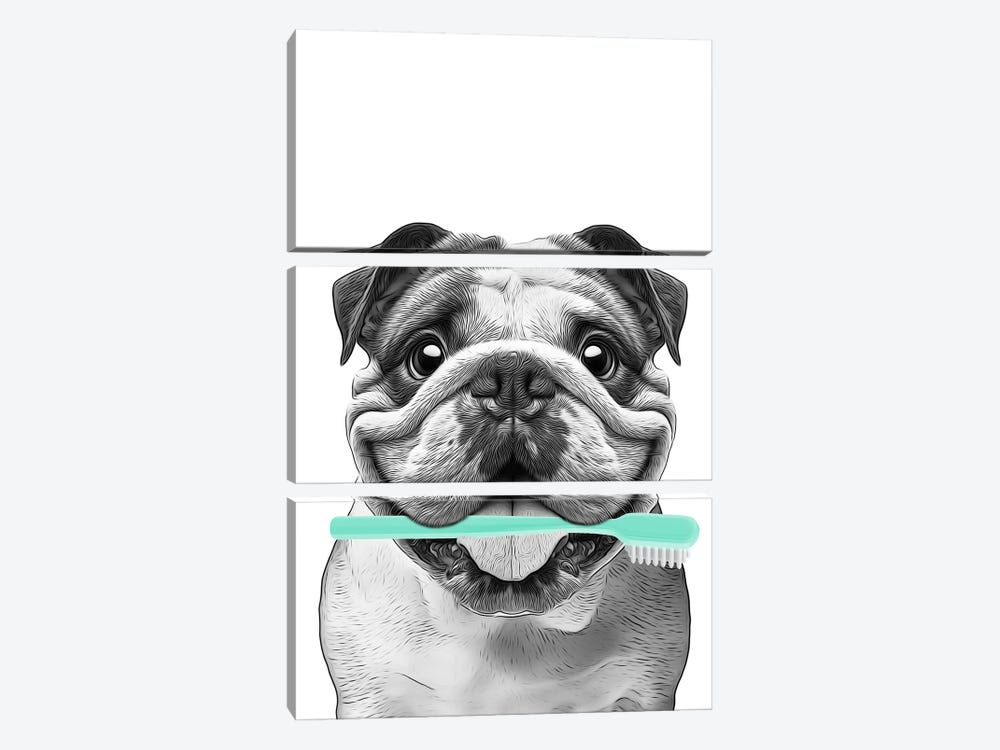 English Bulldog With Toothbrush by Printable Lisa's Pets 3-piece Canvas Art