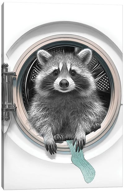 Raccoon In The Washing Machine Canvas Art Print - Printable Lisa's Pets