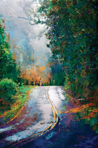 A Curve in the Road by Lisa Robinson canvas print