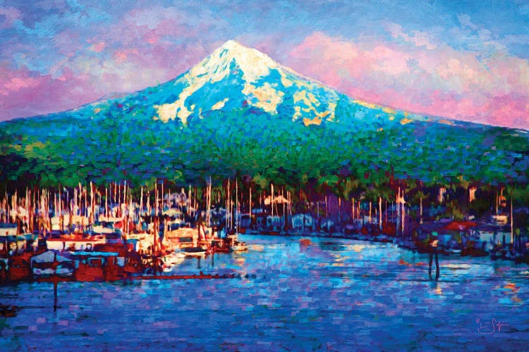 Cascade Glory by Lisa Robinson wall art