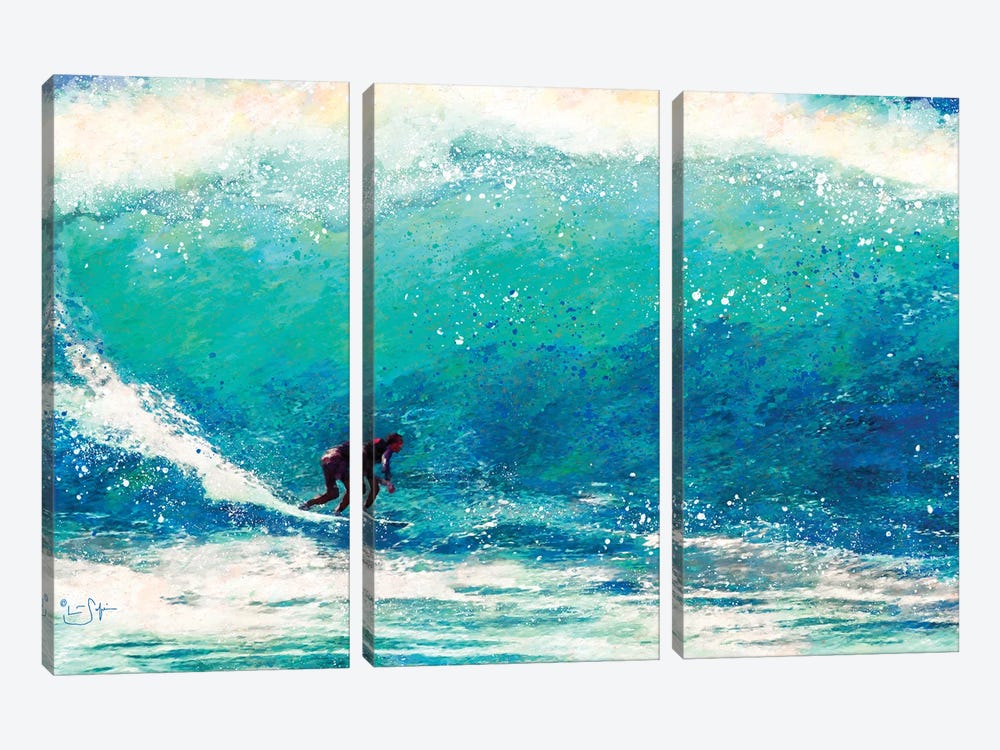 Catching the Wave by Lisa Robinson 3-piece Canvas Wall Art