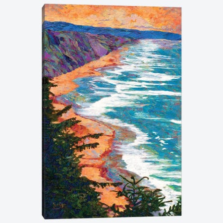 Coastline Canvas Print #LIR18} by Lisa Robinson Canvas Art Print