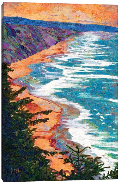 Coastline Canvas Art Print - Lisa Robinson