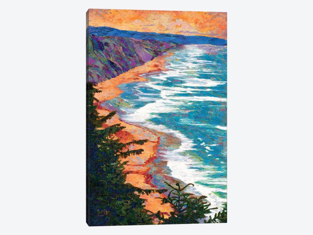 Coastline by Lisa Robinson 1-piece Canvas Art