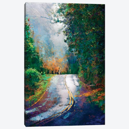 A Curve in the Road Canvas Print #LIR1} by Lisa Robinson Canvas Art Print