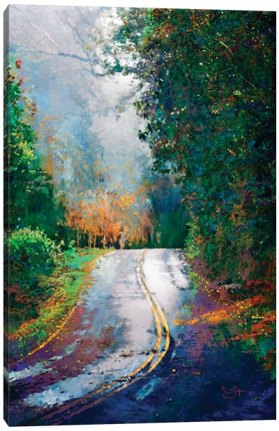 A Curve in the Road Canvas Art Print - Lisa Robinson