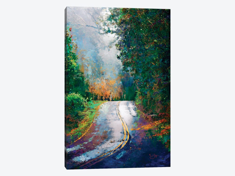 A Curve in the Road by Lisa Robinson 1-piece Canvas Art Print
