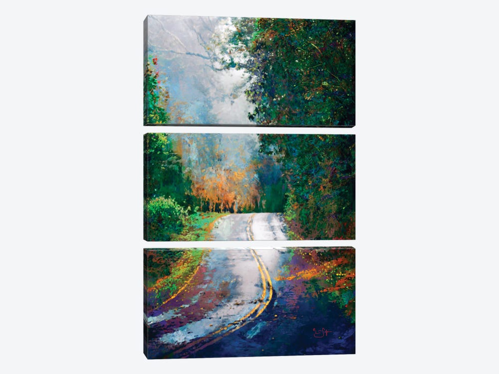 A Curve in the Road by Lisa Robinson 3-piece Canvas Print