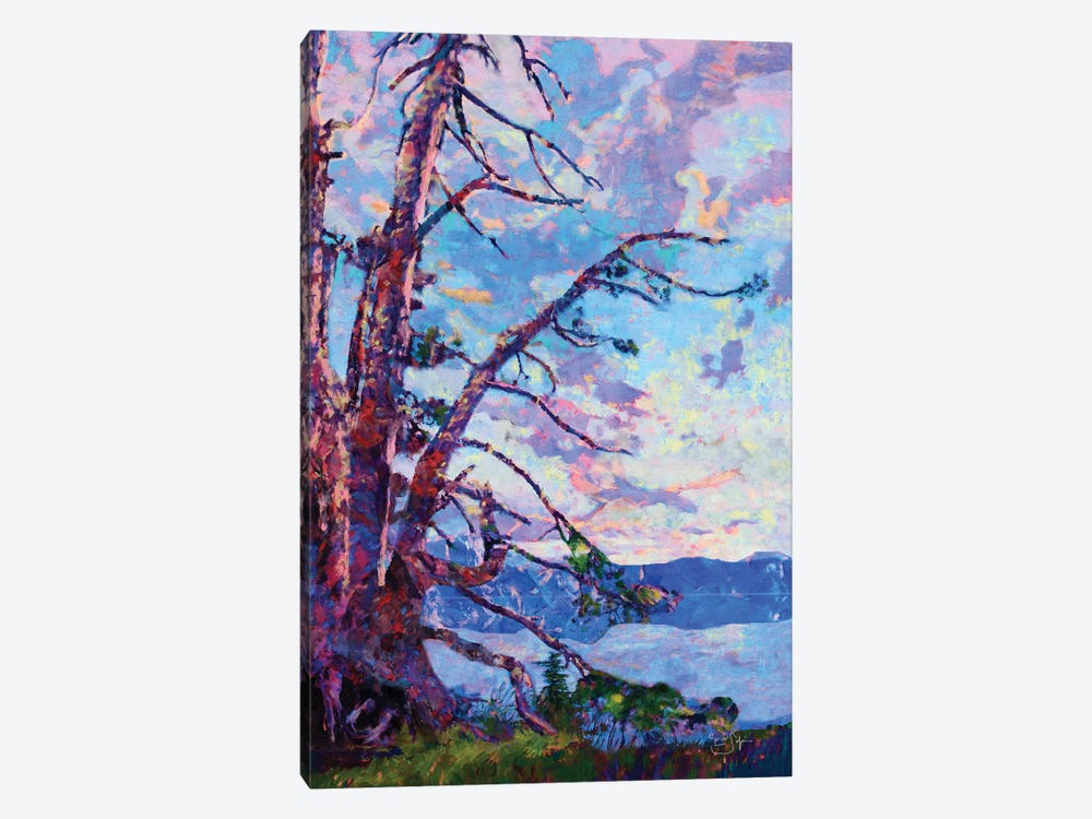Crater Lake by Lisa Robinson 1-piece Canvas Art Print