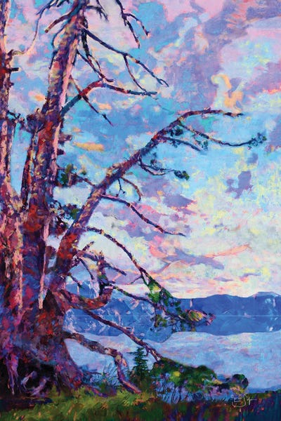 Lisa Robinson: Crater Lake by Lisa Robinson