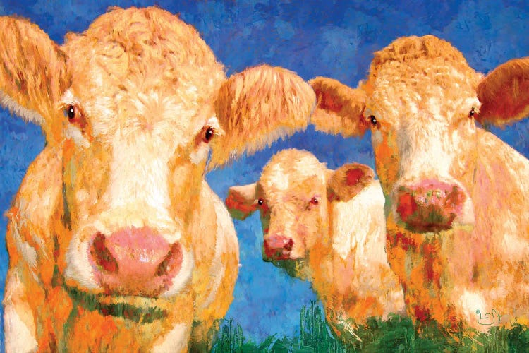 Curious by Lisa Robinson wall art