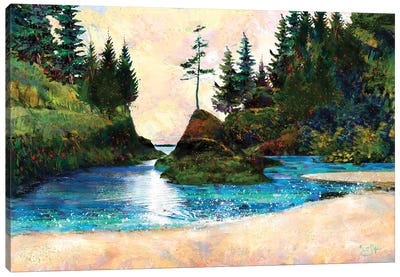 Dead Man's Cove Canvas Art Print - Lisa Robinson
