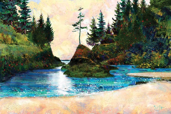 Lisa Robinson: Dead Man's Cove by Lisa Robinson