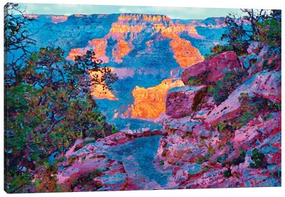 Grand Canyon Canvas Art Print - Lisa Robinson