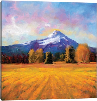 Hood on Gold Canvas Art Print - Cascade Range Art
