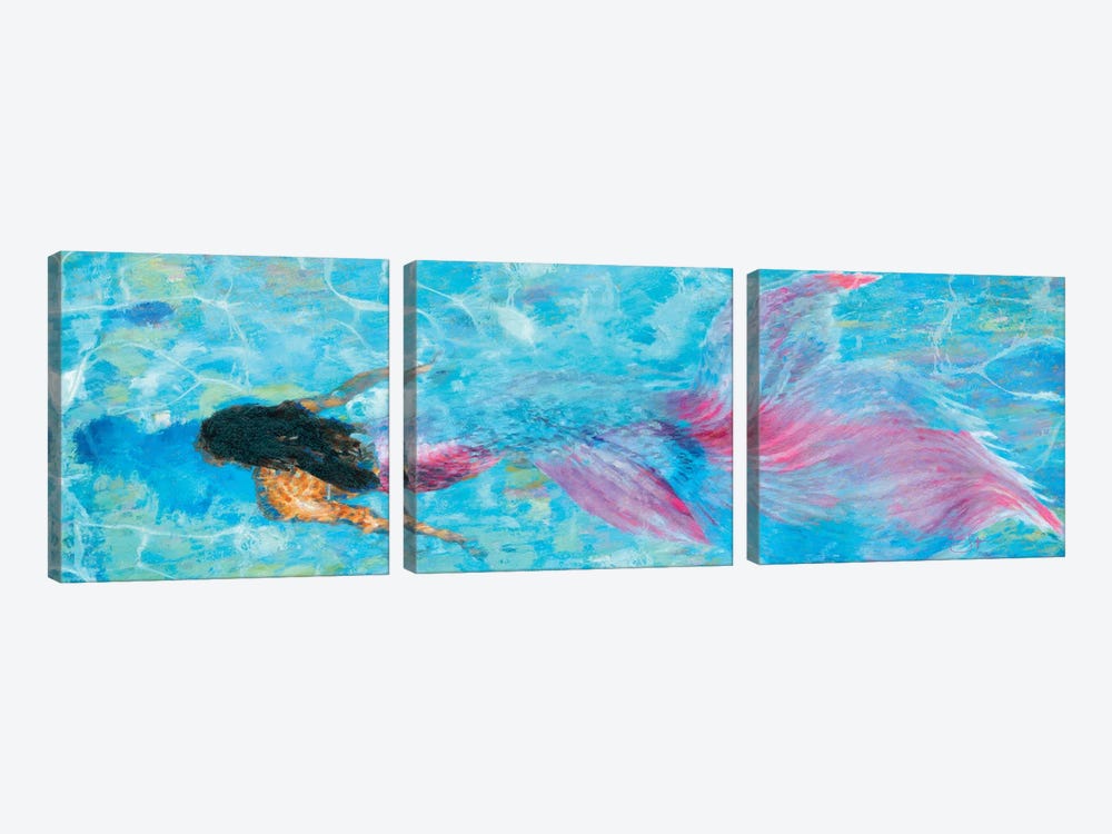 Mermaid by Lisa Robinson 3-piece Art Print