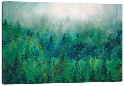 Mist II Canvas Art Print - Pine Tree Art
