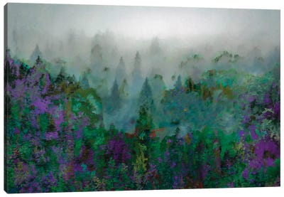 Mist IV Canvas Art Print - Lisa Robinson