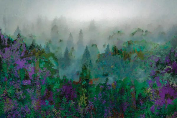 Office: Mist IV by Lisa Robinson