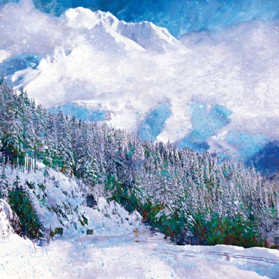 New Snow by Lisa Robinson canvas print