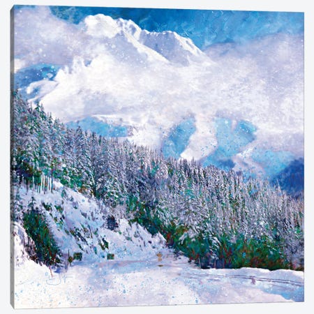 New Snow Canvas Print #LIR44} by Lisa Robinson Canvas Art Print