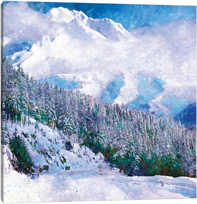 New Snow Canvas Art Print - Lisa Robinson