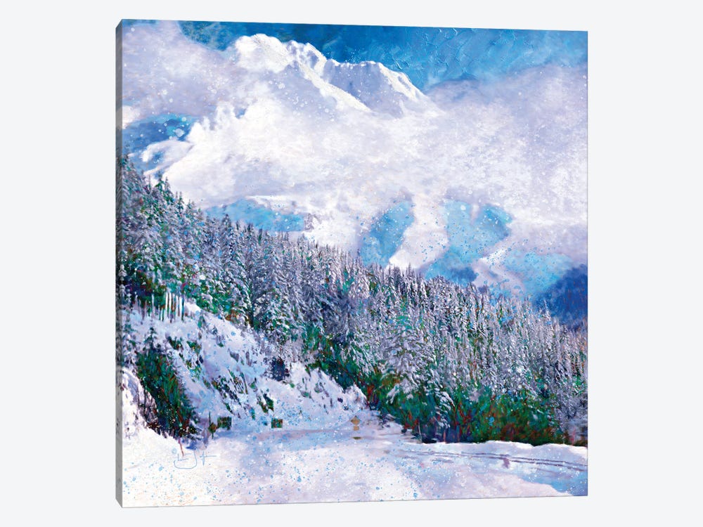New Snow by Lisa Robinson 1-piece Art Print