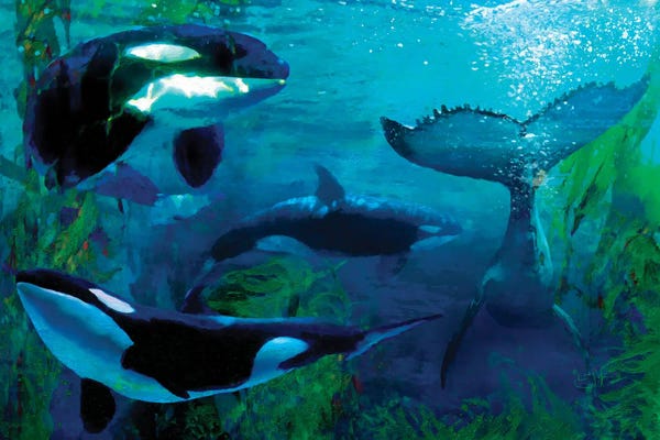 Lisa Robinson: Orca by Lisa Robinson