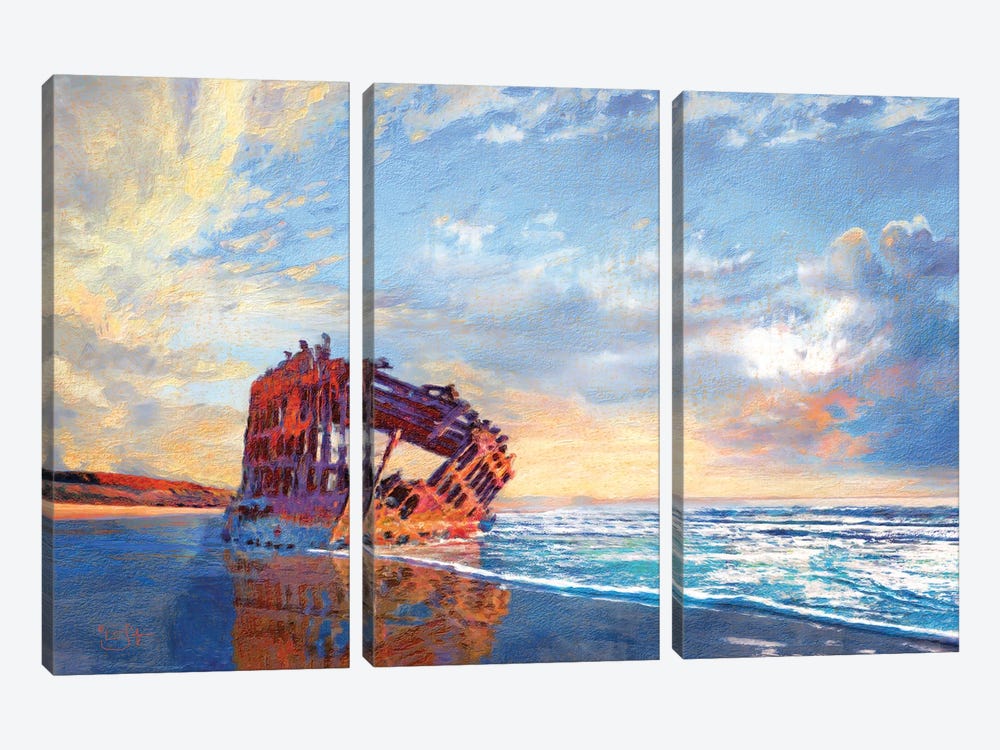 Peter Iredale by Lisa Robinson 3-piece Canvas Wall Art