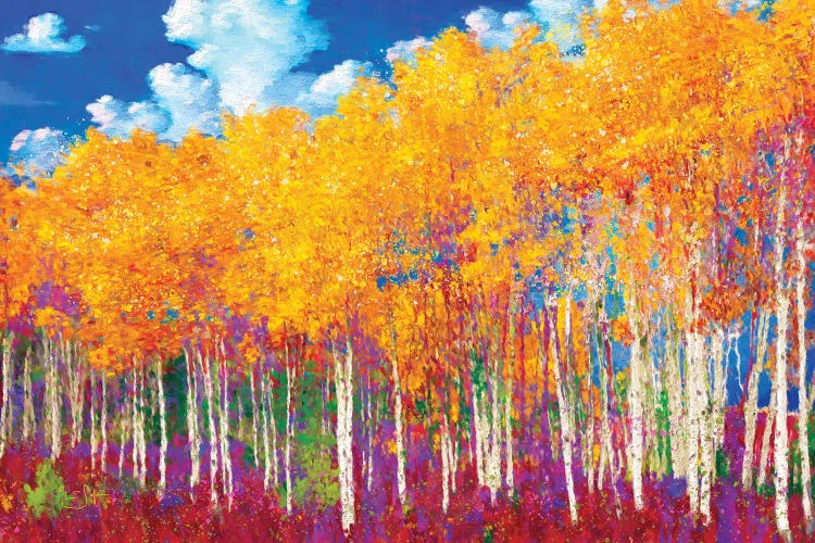 Aspens in Fall