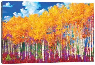 Aspens in Fall Canvas Art Print - Aspen Tree Art