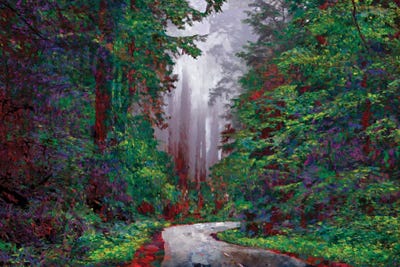 Redwoods I by Lisa Robinson canvas print