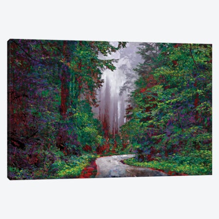 Redwoods I Canvas Print #LIR51} by Lisa Robinson Canvas Print
