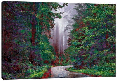 Redwoods I Canvas Art Print