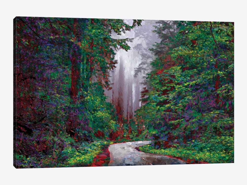 Redwoods I by Lisa Robinson 1-piece Art Print