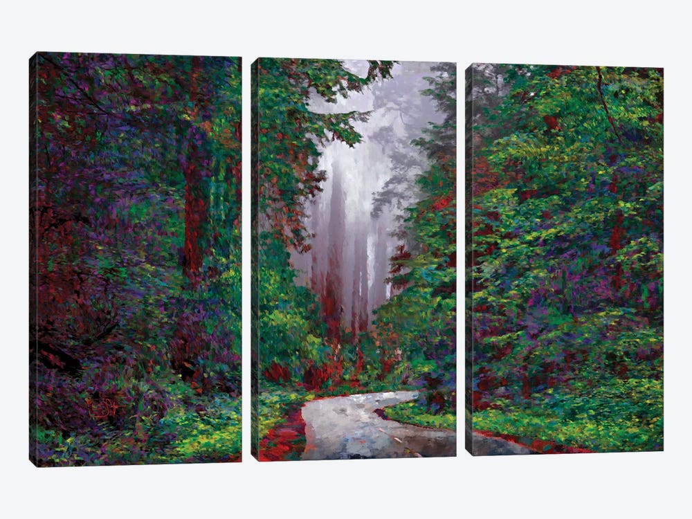 Redwoods I by Lisa Robinson 3-piece Art Print
